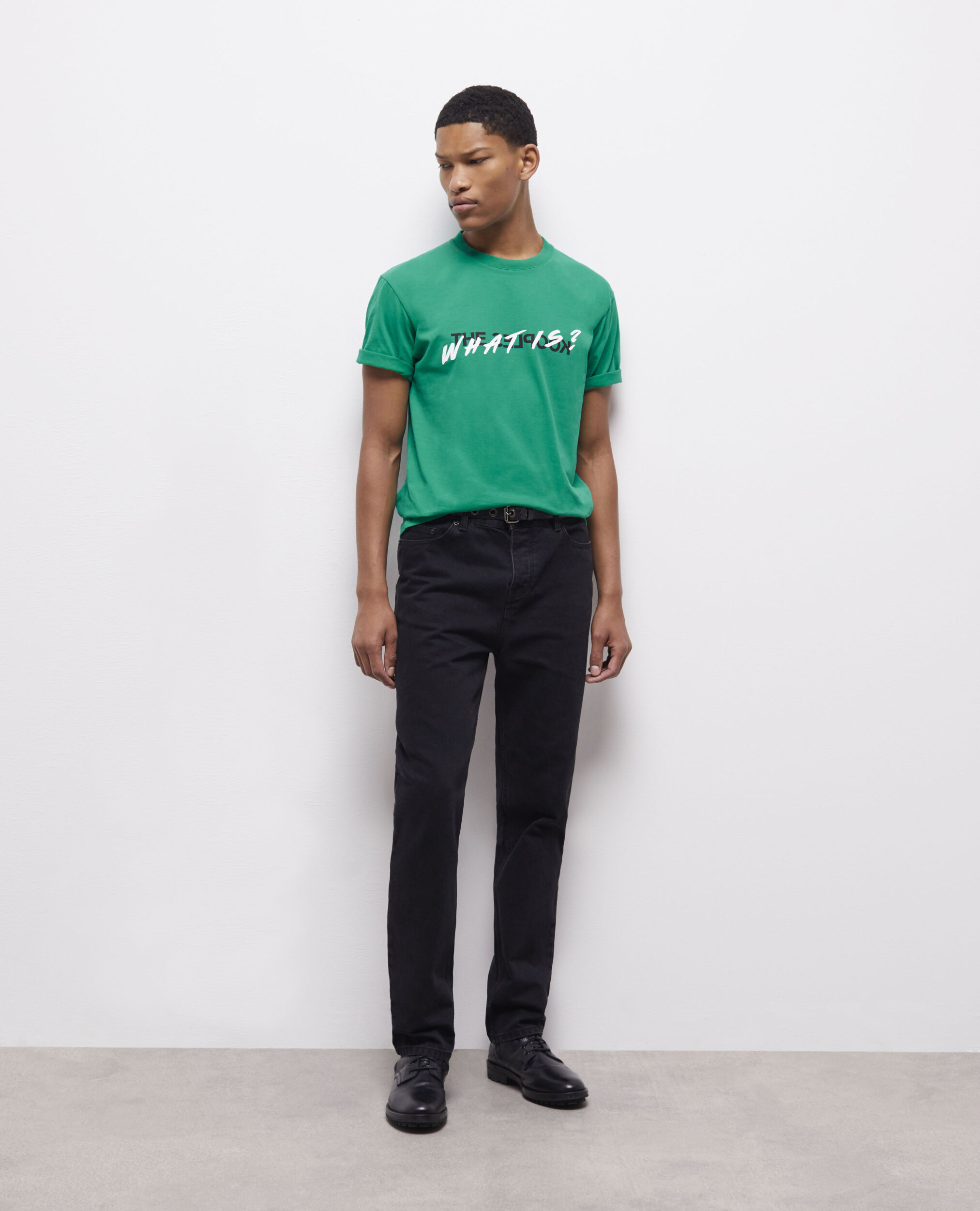 T-shirt Homme What is vert, GREEN, hi-res image number null