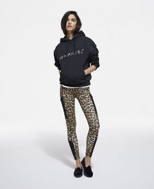 , LEOPARD, hi-res image number null