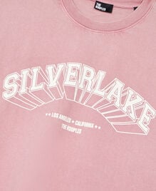 , PINK WOOD, hi-res image number null