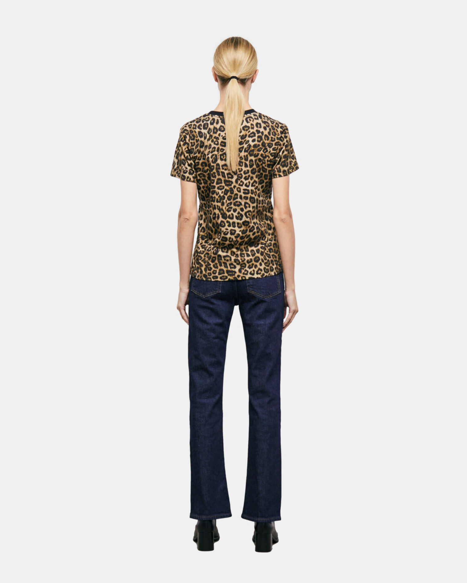 , LEOPARD, hi-res image number null