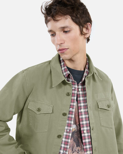 , OLIVE, hi-res image number null