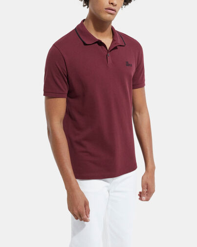 , BURGUNDY, hi-res image number null