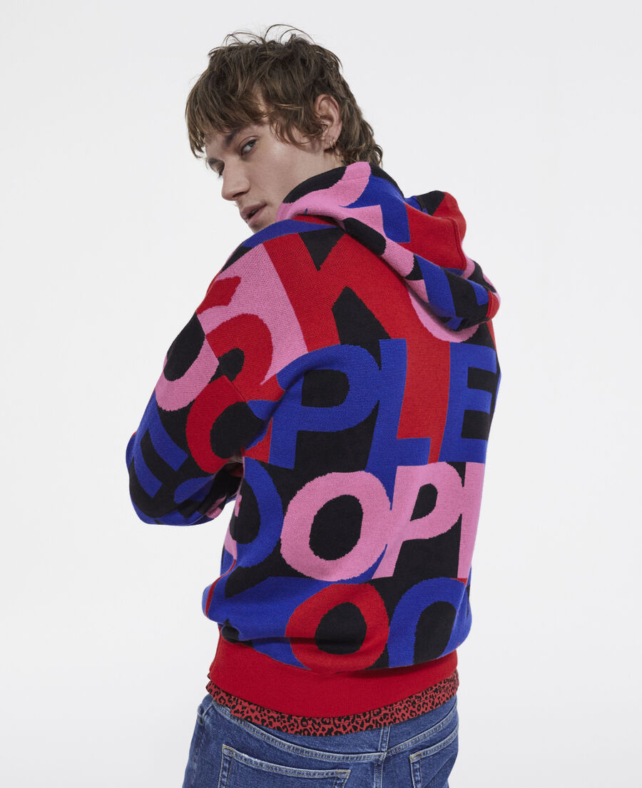 sweatshirt with multicolored logo