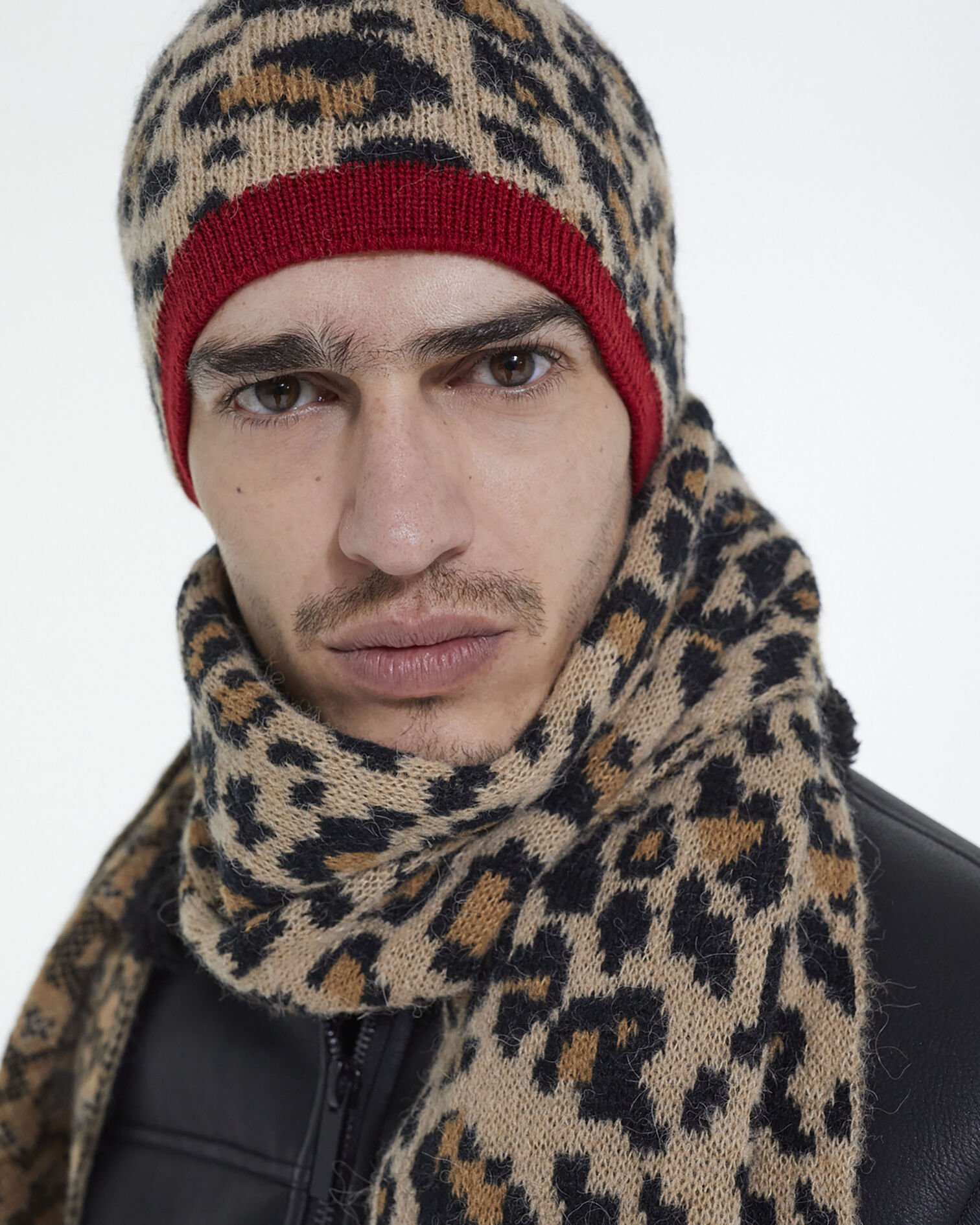 , LEOPARD, hi-res image number null