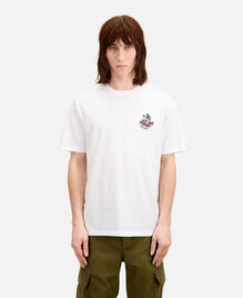 , WHITE, hi-res image number null