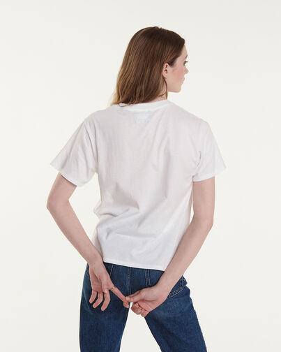 , WHITE, hi-res image number null