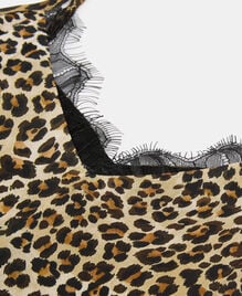 , LEOPARD, hi-res image number null