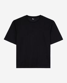 , NAVY, hi-res image number null