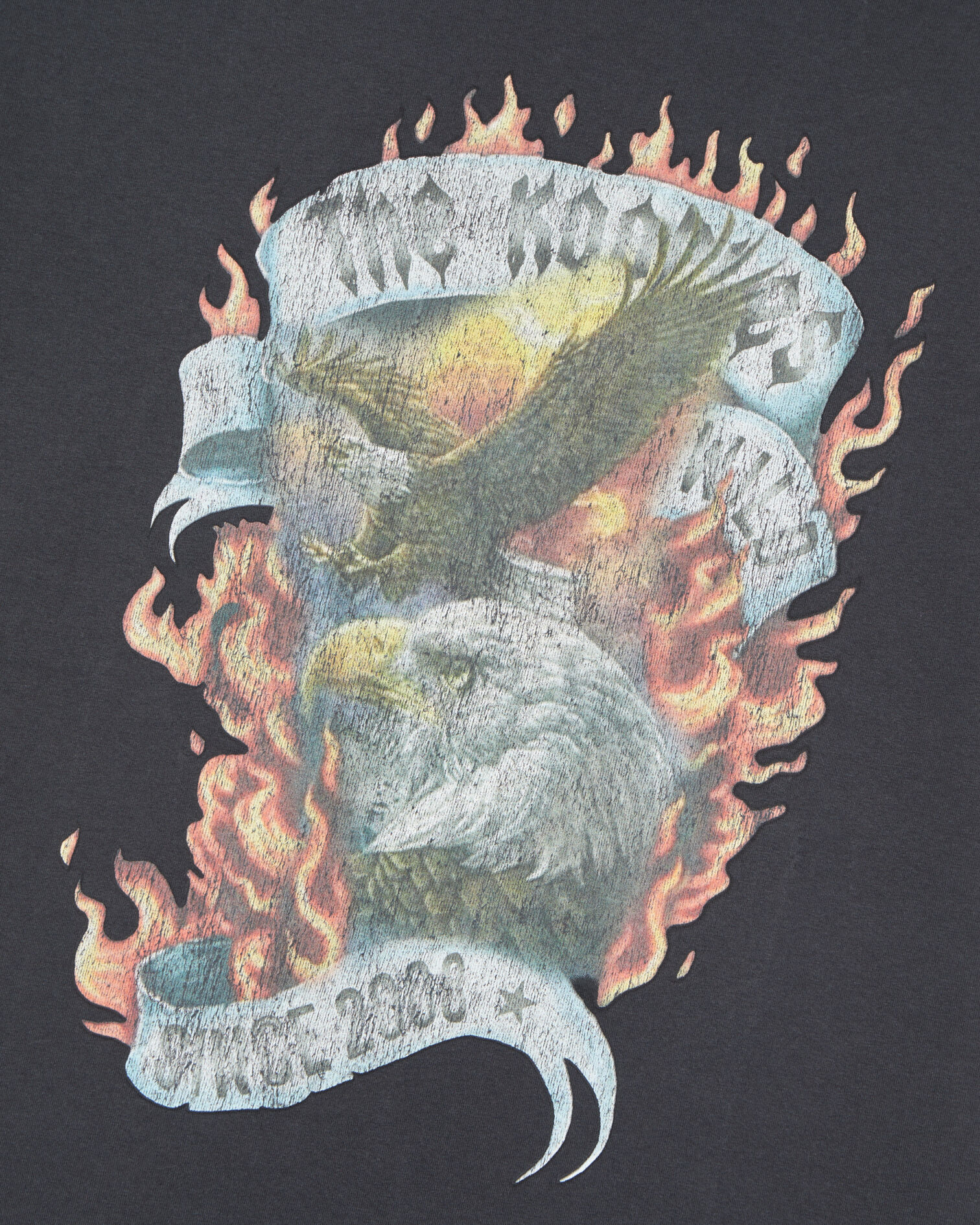 Black Eagles on fire black serigraphy t-shirt, BLACK WASHED, hi-res image number null