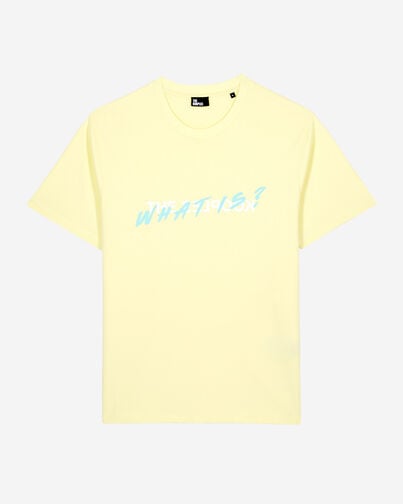 , BRIGHT YELLOW, hi-res image number null