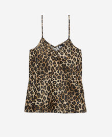 , LEOPARD, hi-res image number null