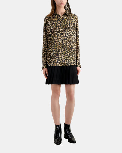 , LEOPARD, hi-res image number null