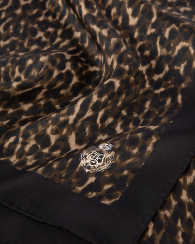 , LEOPARD, hi-res image number null