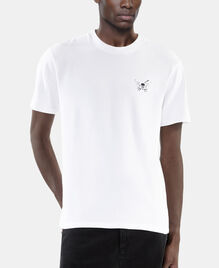, WHITE, hi-res image number null