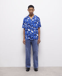 , BLUE, hi-res image number null