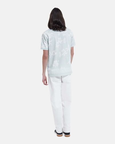 , GRIS BLEU, hi-res image number null