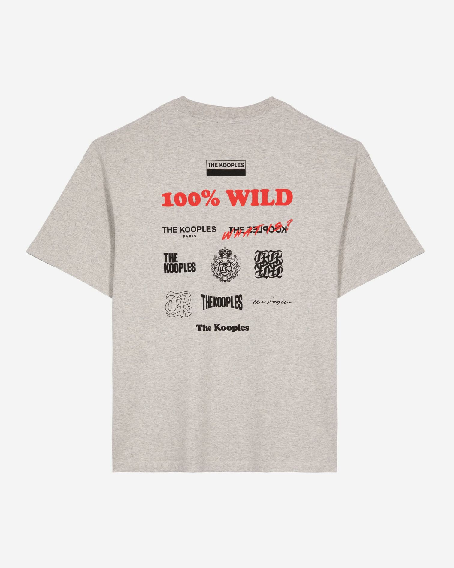 Gray screen print T-shirt, LIGHT GREY MELANGE, hi-res image number null