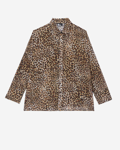 , LEOPARD, hi-res image number null