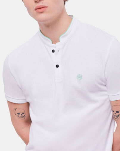 , GREEN-WHITE, hi-res image number null