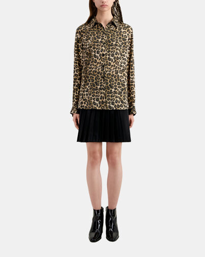 , LEOPARD, hi-res image number null