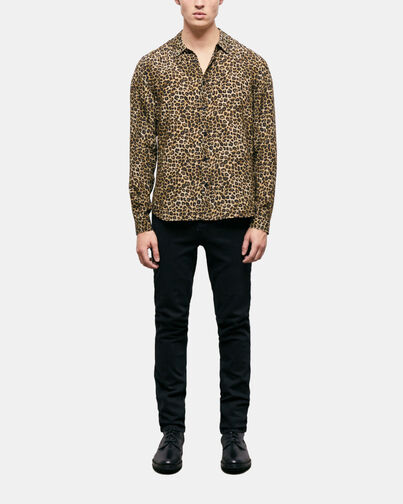 , LEOPARD, hi-res image number null