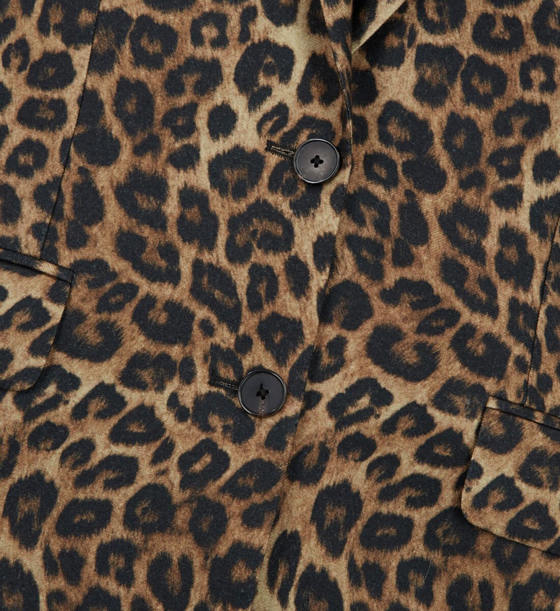 Jcpenney leopard coat shop