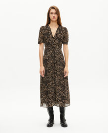 , LEOPARD, hi-res image number null