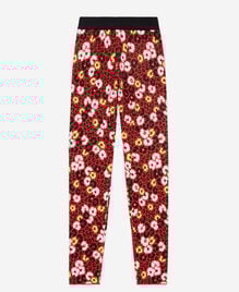 , DARK RED, hi-res image number null