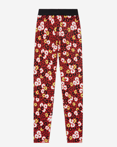 , DARK RED, hi-res image number null