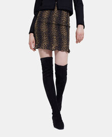 , LEOPARD, hi-res image number null