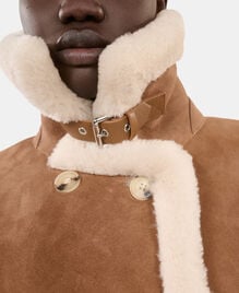 , BROWN-BEIGE, hi-res image number null