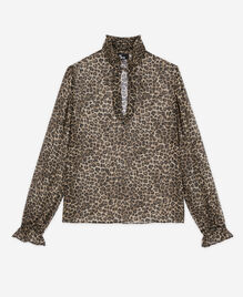, LEOPARD, hi-res image number null
