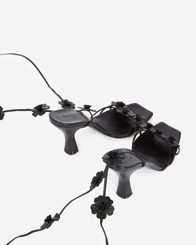 , BLACK, hi-res image number null