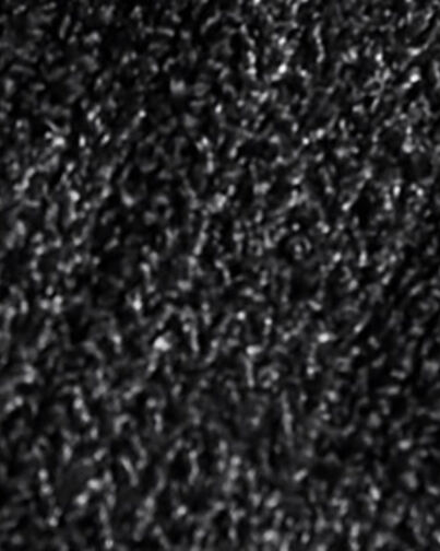 , BLACK DARK GREY, hi-res image number null
