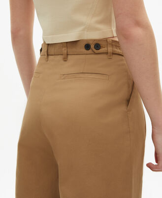 , BROWN, hi-res image number null