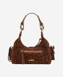 , LEOPARD, hi-res image number null
