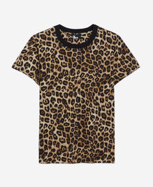 , LEOPARD, hi-res image number null