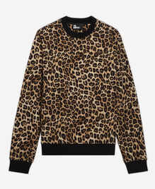 , LEOPARD, hi-res image number null