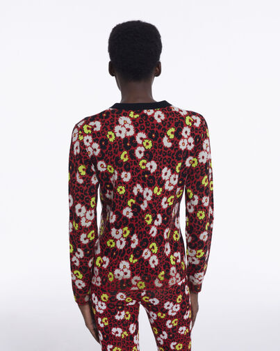 , DARK RED, hi-res image number null