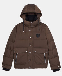 , BROWN, hi-res image number null