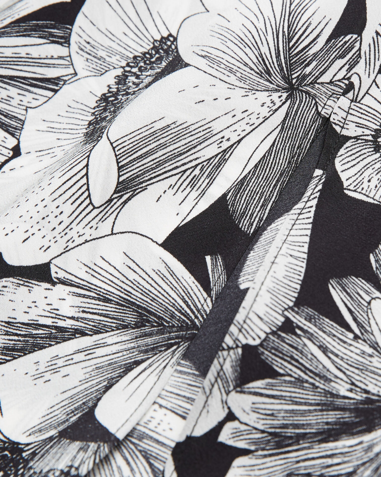 , BLACK WHITE, hi-res image number null