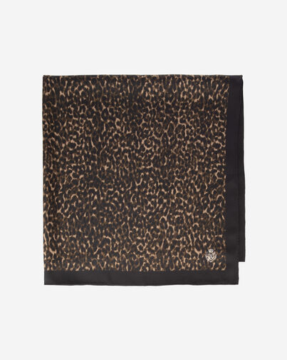 , LEOPARD, hi-res image number null