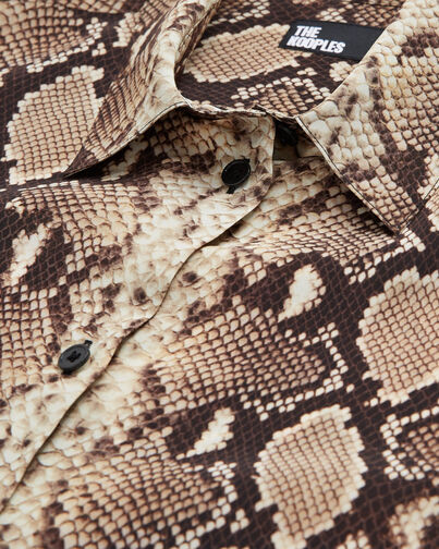 , BEIGE, hi-res image number null