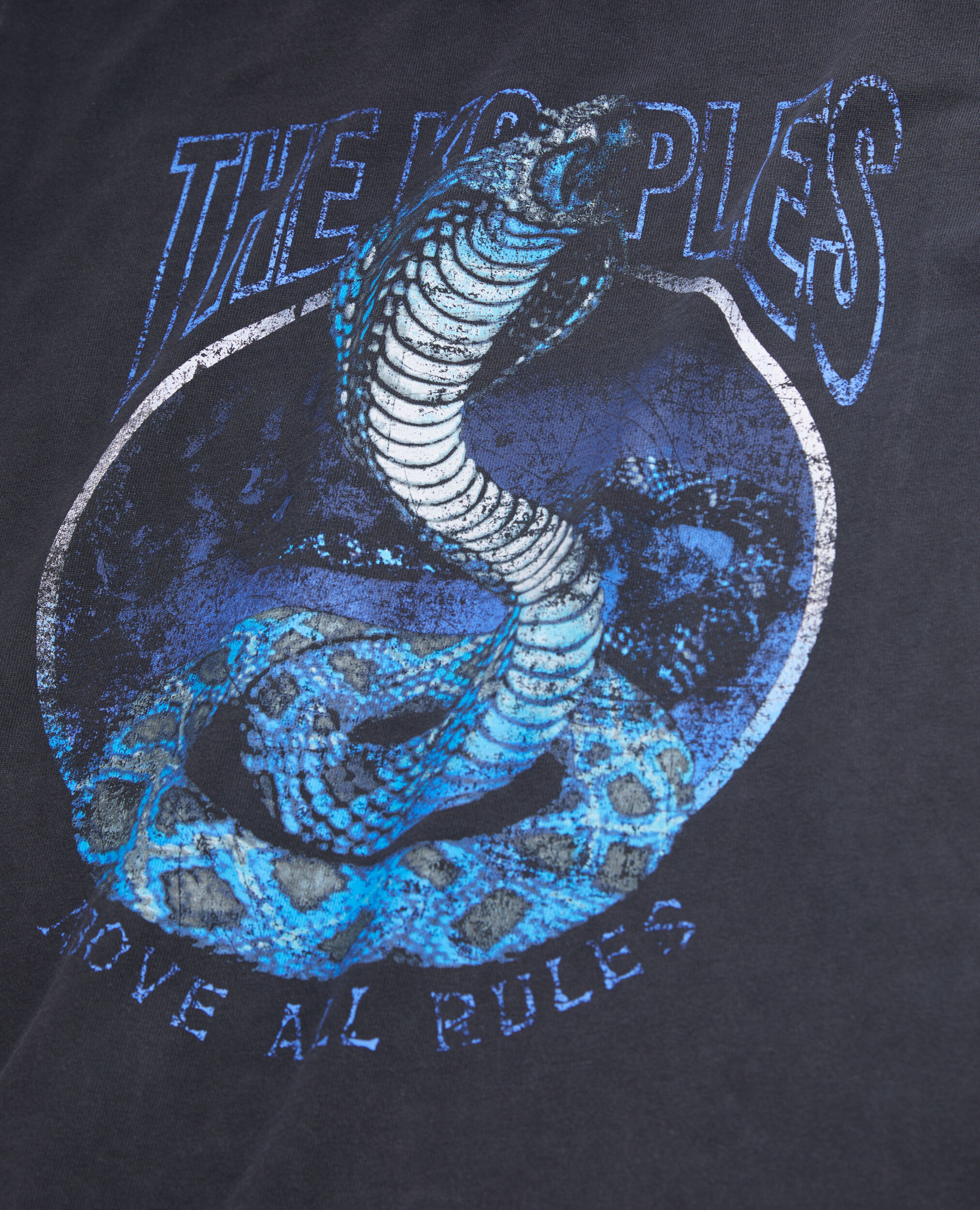 T-shirt Femme noir avec sérigraphie Cobra, BLACK BLUE, hi-res image number null