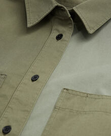, OLIVE NIGHT, hi-res image number null