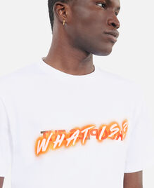 , WHITE, hi-res image number null