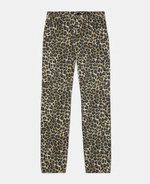 , LEOPARD, hi-res image number null