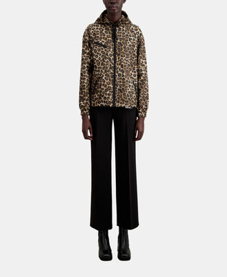 , LEOPARD, hi-res image number null