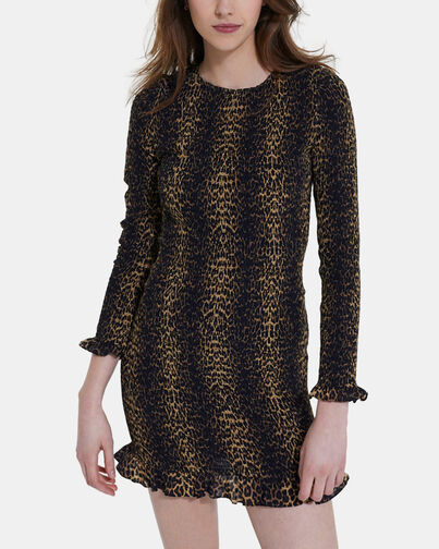 , LEOPARD, hi-res image number null