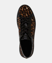 , LEOPARD, hi-res image number null